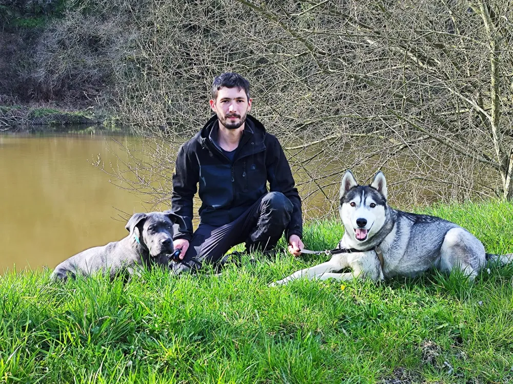 problème chien comportement à Montsûrs